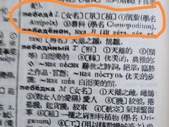 -波特曼西餐厅(南岗店)