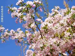 -石家庄市植物园