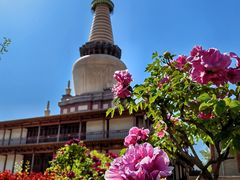 -张掖大佛寺景区
