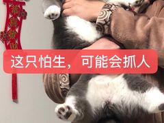 -袖虎·猫馆(体育西路店)