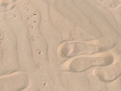 -日照海滨国家森林公园