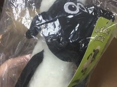 -巨鹏飞梦幻海岸