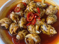 辣酒煮花螺-金龙·打边炉(南京西路店)