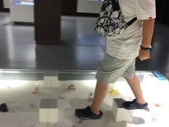 -贝壳王国博物馆