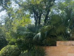 -海兰云天度假区温泉