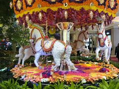 -拉斯维加斯永利酒店