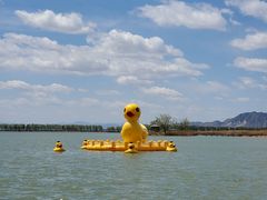 -野鸭湖国家湿地公园