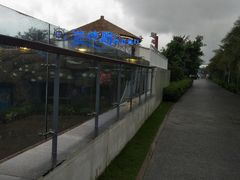 -瑞德姆美人鱼海底演艺主题餐厅(亚龙湾店)