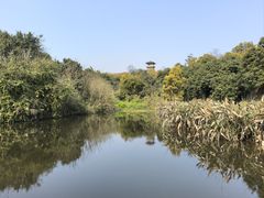 -张坝桂圆林公园