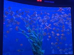 -沈阳海洋探索中心