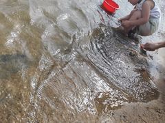 -碧海金沙