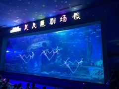 -多彩贵州城极地海洋世界