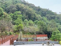 -广州白江湖森林公园