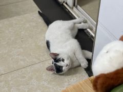 -金二烤肉(早慈巷小区店)