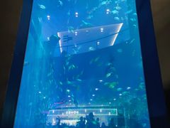 -成都浩海立方海洋公园