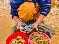 -沁园蒸汽·海鲜餐厅(三浴场店)