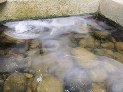 -宣和苑(华侨新村店)