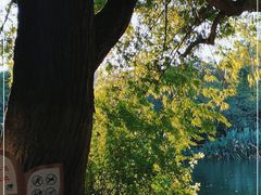 -花溪公园