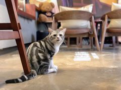 -咖法森林·咖啡  酒吧(天河店)