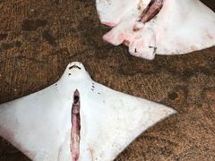 -尼甘布海鲜市场