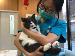 -爱妮康宠物医院·干细胞免疫细胞·肿瘤·心脏(张江店)