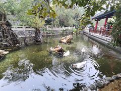 -国恩寺