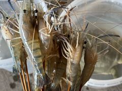 -粮心小农·大头虾亲子生态园(长发店)