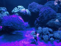-海合安武汉极地海洋公园