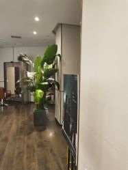 -崇尚GAVIN STYLE臻选