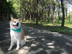 -申普宠物医院·眼科·心内科·影像科(普陀分院)