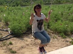 -紫海香堤香草艺术庄园