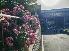 -武汉园博园(武汉自然博物馆)