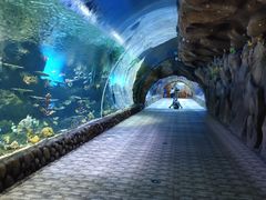 -华夏文旅海洋公园