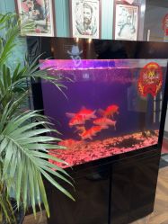 -尚逸男士理发馆·专注男发