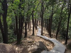 -火炉山森林公园