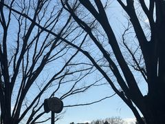 -井之头恩赐公园