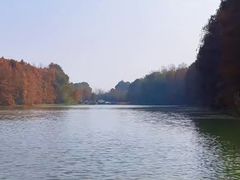 -上海海湾国家森林公园