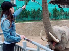 -西霞口神雕山野生动物世界