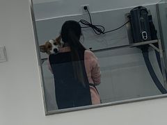 -comecome来吧宠物(奥克斯中心店)