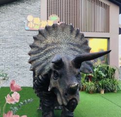 -恐龙探索乐园(磁器口店)