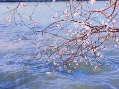 -颐和园
