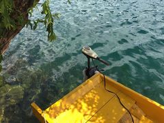 -丽江泸沽湖景区-里格半岛