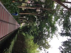iphone_upload_pic-铁路文化公园