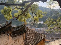 -杨家堂村
