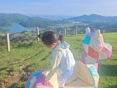 -大姆山草场