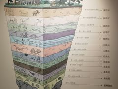 -四川大学博物馆