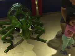 -上海昆虫博物馆