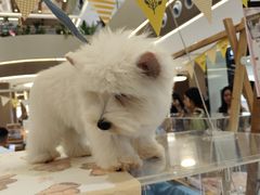 -银隆百货(萧山店)