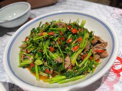 -壹盏灯(惠农店)