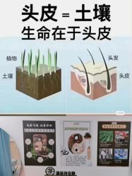 点击看大图 -舒欣头疗·俏丝谧语 白发脱发专业护理